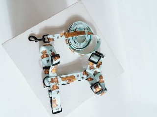 Smycz TEDDY-BEE niebieska 2m